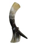 Royal - Viking Drinking Horn with Stand - Genuine Handcrafted Vikings Horn for Beer, Wine - Original Horn Mug (Polished Finish | with Horn Stand, 500 ML | 16 OZ)