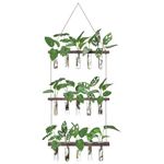 XXXFLOWER Wall Hanging Propagation Station with 3 Tiered Wooden Stand 15 Test Tubes Flower Vase Glass Planter Stations for Home Office Decor Hydroponic Plant Cuttings Lover