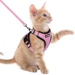 rabbitgoo Cat Harness and Lead Set, Adjustable Escape Proof Cat Lead for Walking, Reflective Kitten Harness Set, Soft and Comfortable for Kittens and Small Cats, Pink, XXS
