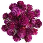 Amaranth Flower - Amaranth Flower Dried Amaranth Tea