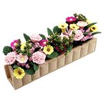 Miniature Potted Plant Flower Colorful 1:12 Mini Dollhouse Fairy Garden Bonsai Plant Clay Model Micro Landscape Decoration