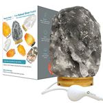 Rare Gray Grey Black Himalayan Salt Lamp Night Light Lights Crystal Hand Carved Hymalain Rock Table Lamps(5-8 lbs,6.5-10"),Thailand Rubberplatinum Base, Dimmable Touch Switch Control(3 Bulbs Included)