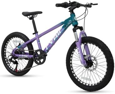 CYBIC 20 I