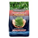Central Garden & Pet Pennington 100086839 Smart Seed Northern Sun and Shade Mix, 7-Pound