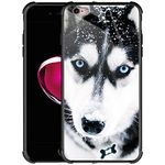 CARLOCA Compatible with iPhone 6 Case,Hard Back Customize iPhone 6s Cases,Husky Dog Muzzle Blue Eyed Pattern Design Shockproof Anti-Scratch Case for iPhone 6/6S 4.7-inch