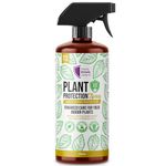 Plant Protection Spray - Fungus Gnat Protector 200ml, Essential Bug Spray for Plants, Effective Fungus Gnat Killer, Safe & Natural Indoor & Outdoor Plant Care Solution for Flowers, Fruit & Veg, Shrubs