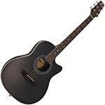 Roundback Electro Acoustic Guitar b