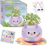 Creativity for Kids Plant-A-Pet: Bunny Chia Seed Plant Pet - Arts and Crafts for Kids, Girls Toys Ages 6-8+, Easter Basket Stuffers and Small Gifts for Girls