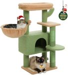 PETEPELA Cactus Cat Tree Tower for 