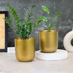 Urban Plant Planter For Living Room Table Decor|Decorative Modern Indoor Planter|Ideal For Gifting|Small Size 5 Inch,Gold