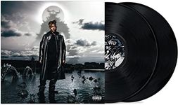Fighting Demons [VINYL]