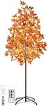 6FT 144 LED Lighted Maple Tree - Th