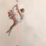 LUPIT POLE Classic G2 Quick Lock - Portable Dance Pole for Home - Spinning and Static Mode - Professional Dancing Pole for Apartment, Club - Easy Installation - No Drilling (‎Desert Flower, 45 mm)