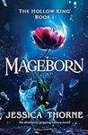 Mageborn: An absolutely gripping fa