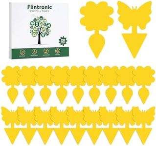 Flintronic