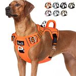 Lukovee No Pull Dog Harness, No Choke Pet Harness with 2 Leash Clips and Easy Control Vertical Handle, Adjustable Soft Padded Dog Vest for Small, Medium and Large Dogs (X-Large, Orange)