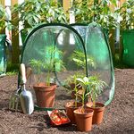 Mini Pop Up Poly Greenhouse Plant Cover | Garden Bell Cloche to Grow & Protect Crops Tomatoes Fruit Veg - 50x50x50cm (2)