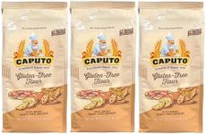 Antimo Caputo Gluten Free Pizza Flo
