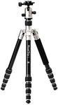 Benro MeFOTO Roadtrip Travel Tripod, Ballhead and Monopod in Titanium, 1 Series Aluminum Legs, 4 Leg Sections, Twist Leg Locks, Padded Carrying Case (BMRTATTN)