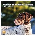 2024 German Shorthaired Pointers Mo