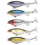 Topwater Fishing Lures for Bass, Wh