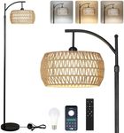 Arc Floor Lamp with Remote Control,