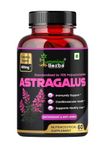 Humming Herbs Astragalus Root Extract Capsules - Supports Immune System, Cardiovascular & Liver Health - Natural Antioxidant & Anti-Aging Supplement