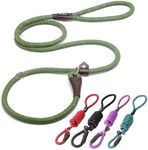 Fida Durable Slip Lead Dog Leash Bulk Pack of 5, Heavy Duty 1/2" x 6 FT Comfortable Strong Rope Slip Leash for Large, Medium & Small Dogs No Pulling Pet Training Leash with Highly Reflective (Mixed)