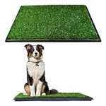 Downtown Pet Supply Dog Grass Pad w