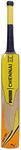 Puma Mens CHENNAI City BAT, Yellow Alert-Bamboo, SNR (5450901), Yellow Alert-Bamboo, SNR