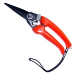 Sheep Feet Clippers Footrot Shears Goat Hoof Trimmer Sheep Alpaca Pig Hooves Trimming Shears Pruning Clippers with Serrated Blades 8 Inch Long