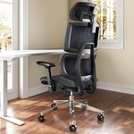 TONFARY Ergonomic Office Chair with