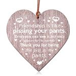 Funny Friend Gifts for Women Men Friends Sign Wall Decor Wood Best Friend Thank You Plaque for Teen Girls Boys Wood Wall Hanging Decor with Friendship Sayings BFF Christmas Birthday Gifts for Friends