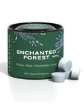 GoodMelts Enchanted Forest Scented Wax Melts | Willow, Moss, Chamomile & Cedar Fragrance | Natural Soy Wax, Vegan, Essential Oil Infused | 160–200 Hrs Scent Time – Safe, Smoke-Free