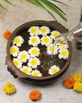 SATYAM KRAFT 48 Pcs Artificial Big Fake Foam Hawaii Beach Water Floating Flowers for Deepawali Decoration, Pooja Thali, Festival & Events, Home, Table, Badroom, Diwali, DIY Craft (White, 6 cm)(Foam)