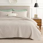 Bedsure Quilt Queen Size - Soft Ultrasonic Full/Queen Quilt Bedding Set - Clover Bedspread Queen Size - Lightweight Bedding Coverlet for All Seasons (Includes 1 Natural Quilt, 2 Pillow Shams)