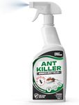 Ant Killer Spray 1000ml – Indoor &