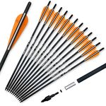 Pointdo 20inch Carbon Crossbow Bolts Crossbow Hunting Arrows with 4" Vanes and Replaced Arrowhead/Tip (12 Pack) (Orange White)