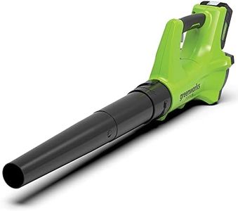 Greenworks 24 V Blower Skin, Multicolor