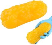 1 lb Human Fat Anatomical Model, Human Fatty Tissue Demonstration Model, Realistic Anatomic Fat Model, Perfect for Nutritionists Fitness Enthusiasts Anatomical Science Course for Medical Student