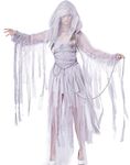 California Costumes Women's Haunting Beauty Ghost Spirit Costume, Gray, Large