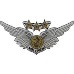 Mitchell Proffitt Combat Aircrew Wing Decal