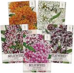 Seed Needs, Milkweed Seed Packet Collection to Attract Monarch Butterflies (5 Individual Seed Varieties to Plant) Heirloom & Untreated Seeds