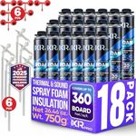 Spray Foam Insulation Can (18 x 25.