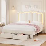 Queen Upholstered LED Bed Frame wit