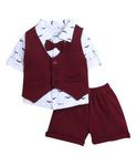 BUMZEE Maroon & White Boys Full Sleeves Shirt Waistcoat & Short Set with Applique Bow Age - 6-12 Months (Peb9293C-mrn.wht)