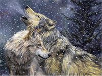 CaptainCrafts Paint by Numbers, Paint by Numbers for Adults DIY Oil Painting Linen Canvas Wall Art Home Decor 16 * 20 Inch (Two Wolves in The Snow, Frameless)