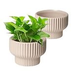 QRRICA Ceramic Plant Pots 5.7 Inch 
