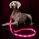 Weesiber Glowing Light Up LED Dog Leash - 4ft USB Rechargeable Flashing Nylon Leash for Small Medium Large Dogs, 3 Flash Modes (Pink)