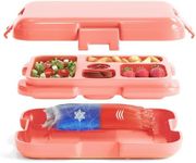 WONDER FAMILY Bento Box with Hot & Cold Packs – Microwave-Safe Lunch Container with Compartments, 22.9 Fl Oz